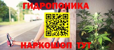 стафф Тара