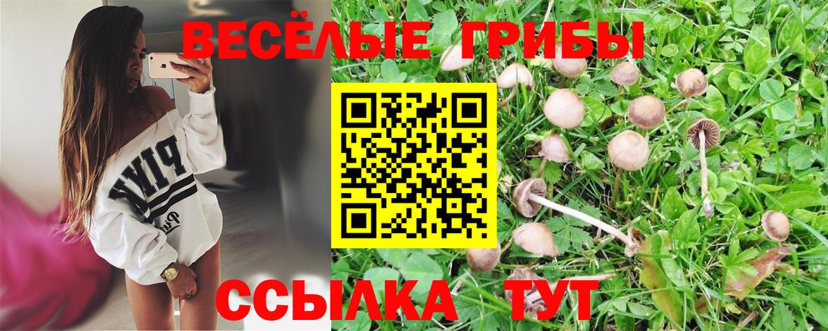 Галлюциногенные грибы прущие грибы  Вход с VPN  Кумертау  Псилоцибиновые грибы GOLDEN TEACHER 